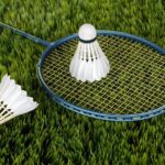 Image de Amicale Laïque - Badminton